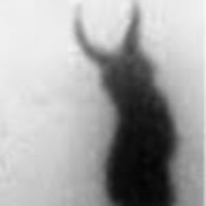 Meet your Posher, Margarita